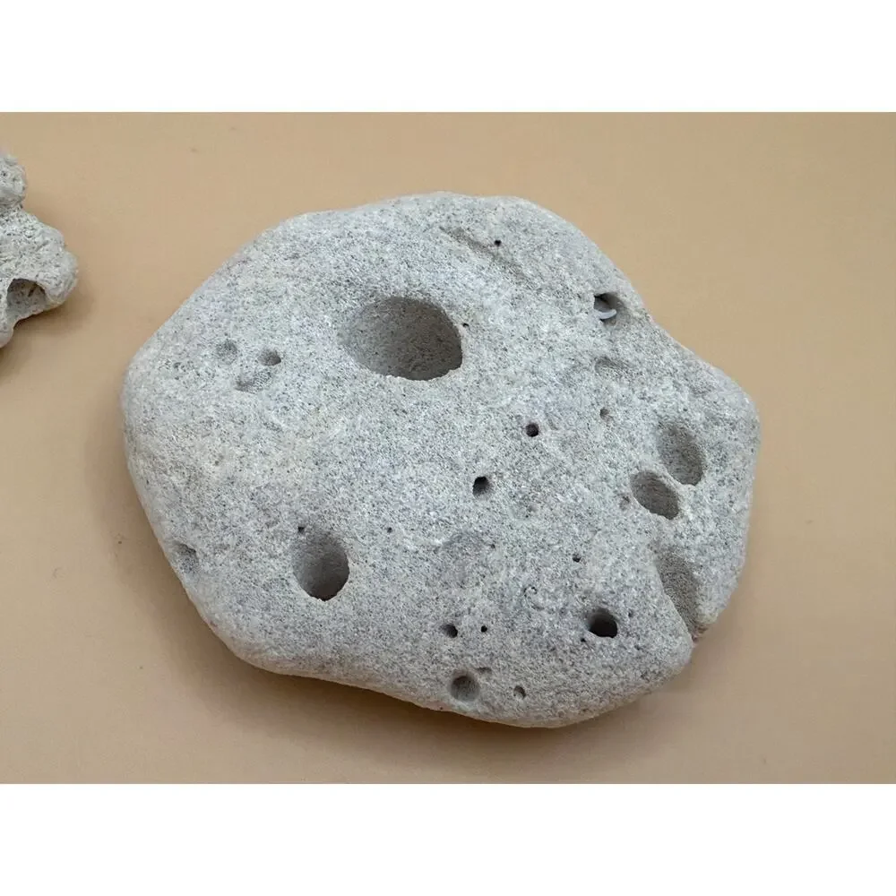 🪸 Natural Ocean Coral & Hag Stone Lot Trinidad Beach Found Sea Decor Lot 4